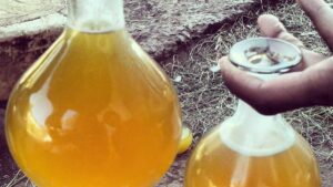 Tej Recipe: How To Make Traditional Ethiopian Honey Wine tej traditional ethiopian honey wine
